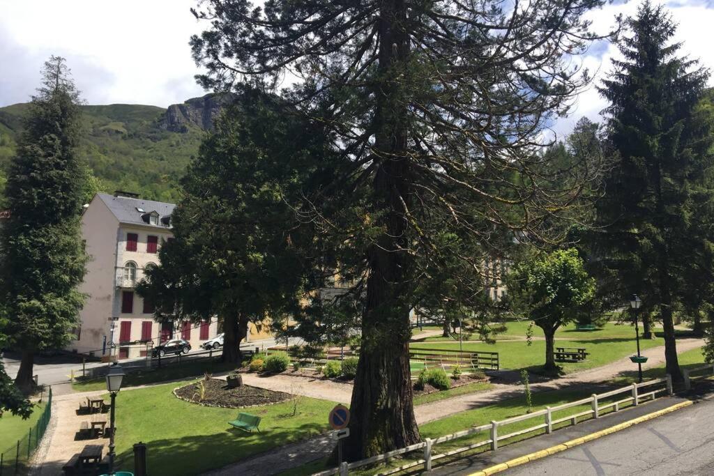 Cocon De La Vallee D'Ossau , Veritable Havre De Paix - 4 A 6 Pers Eaux-Bonnes Buitenkant foto